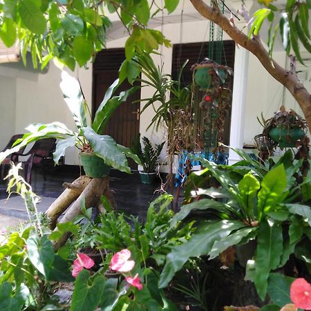 Asiri Homestay Sigiriya Exterior foto