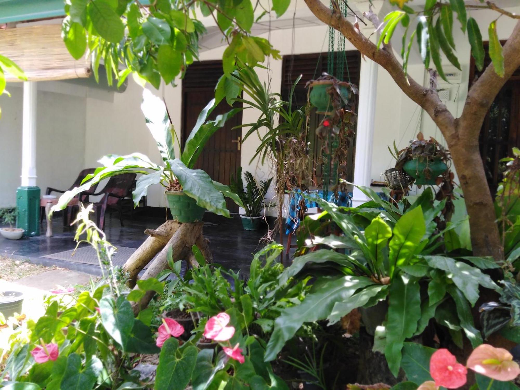 Asiri Homestay Sigiriya Exterior foto