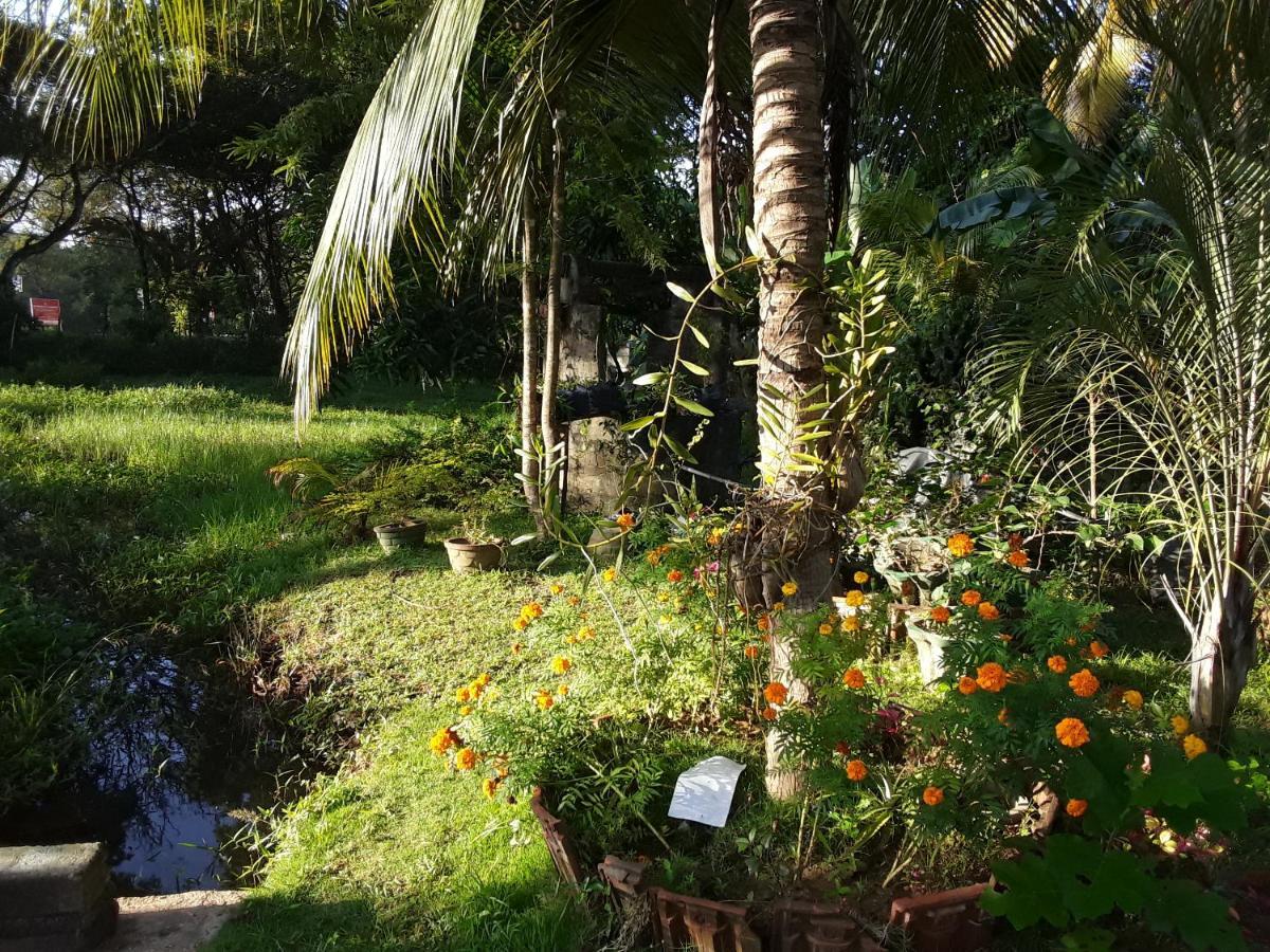 Asiri Homestay Sigiriya Exterior foto